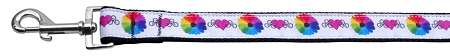 Technicolor Love Nylon Ribbon Pet Leash 1 wide 4ft